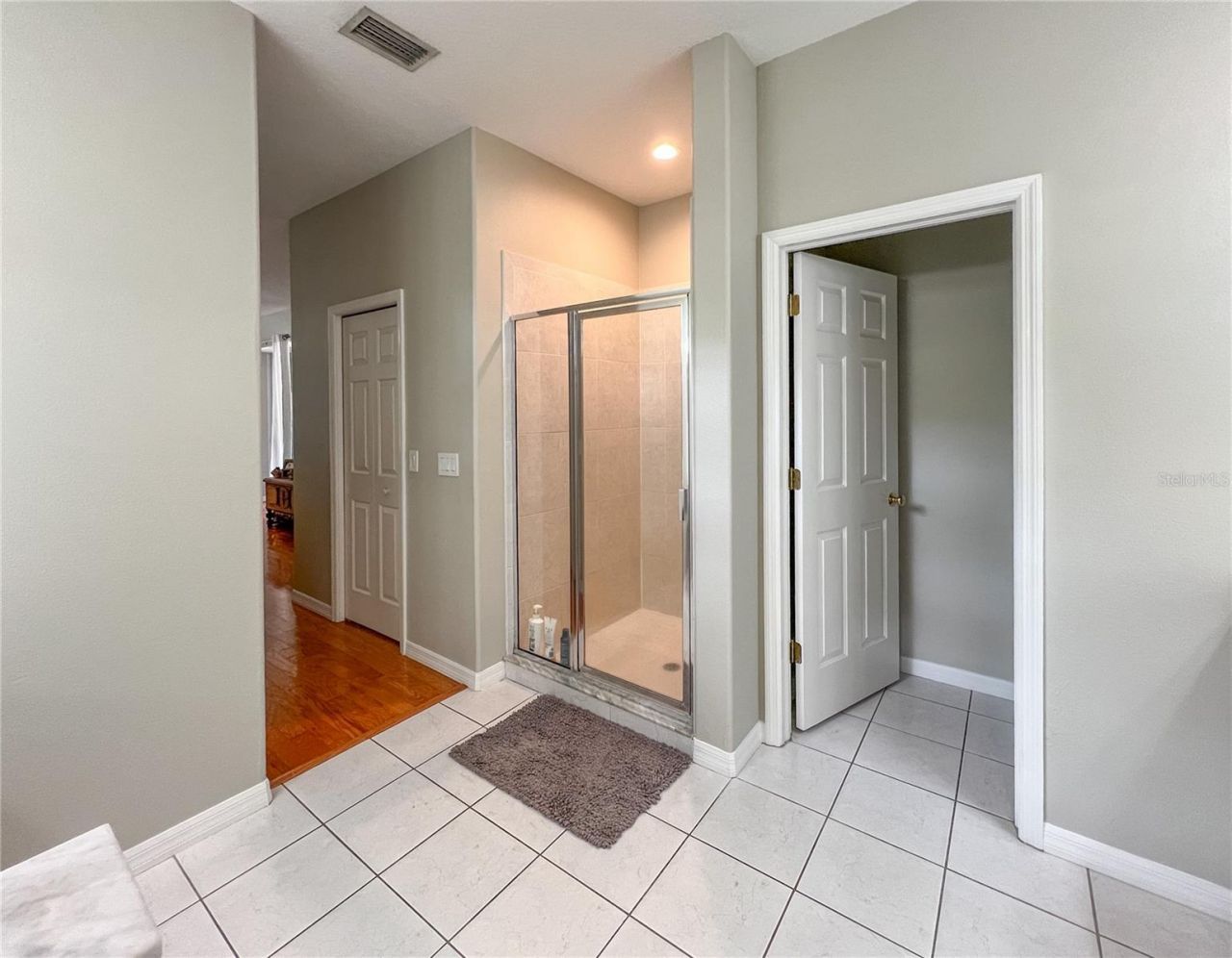 9046 Shenandoah Run , Wesley Chapel, FL 33544 Photo