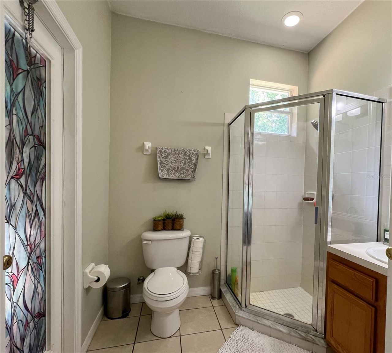 9046 Shenandoah Run , Wesley Chapel, FL 33544 Photo