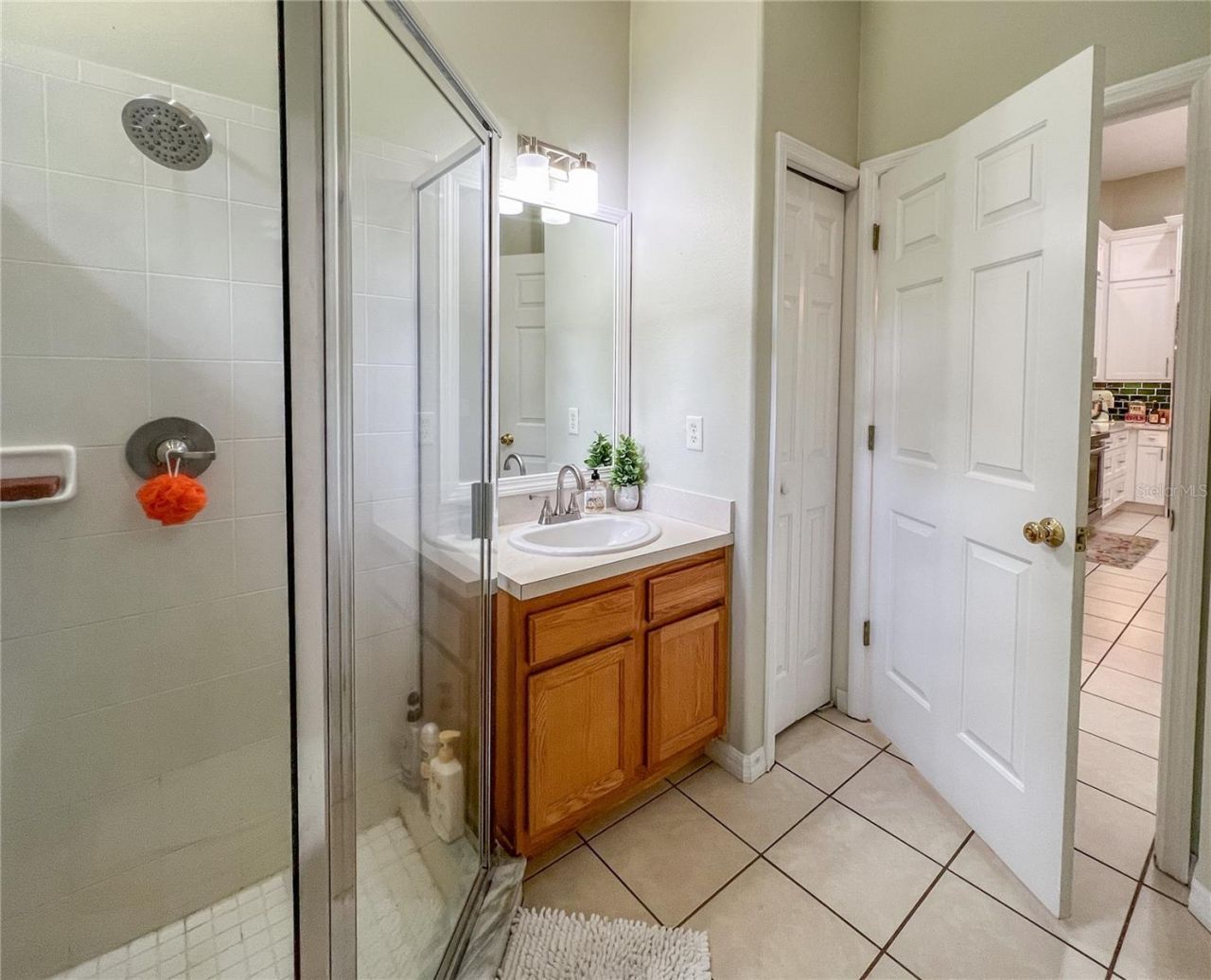 9046 Shenandoah Run , Wesley Chapel, FL 33544 Photo