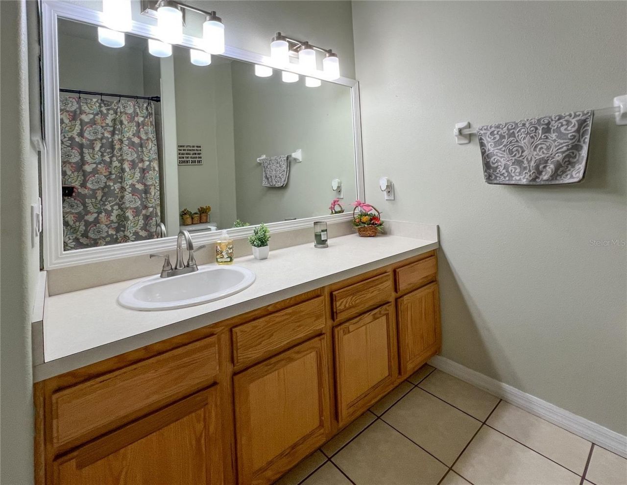 9046 Shenandoah Run , Wesley Chapel, FL 33544 Photo
