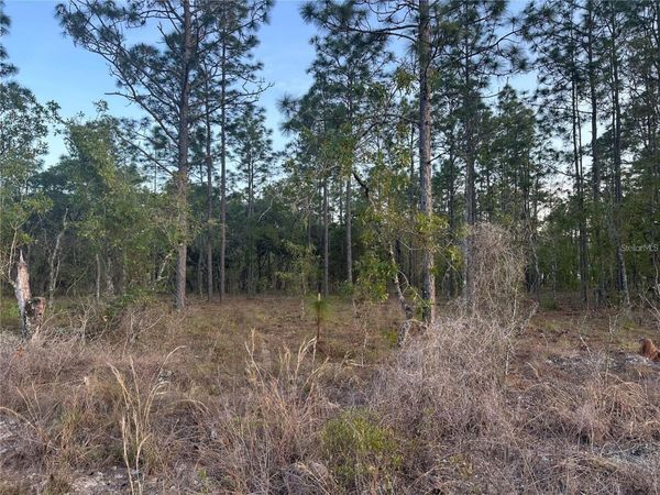 LOT 3 NW AMBERJACK AVE. , DUNNELLON, FL 34431