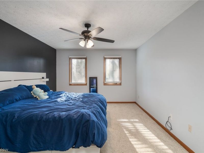 119 Ambleside Way, Amherst, OH 44001 Photo 16