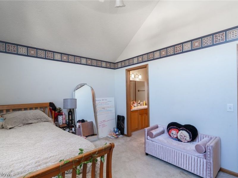 119 Ambleside Way, Amherst, OH 44001 Photo 24