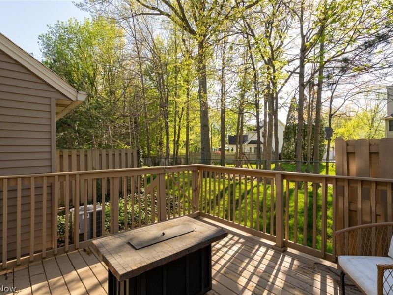 119 Ambleside Way, Amherst, OH 44001 Photo 30