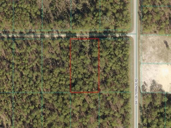 TBD LOT 8 SW 65TH STREET , DUNNELLON, FL 34432