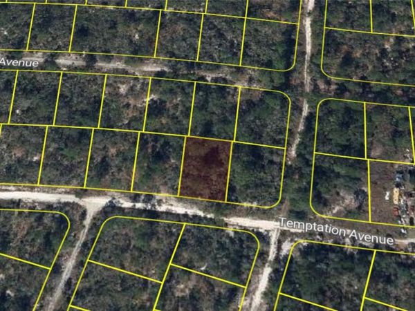 340 HOSSLER AVENUE , LAKE PLACID, FL 33852