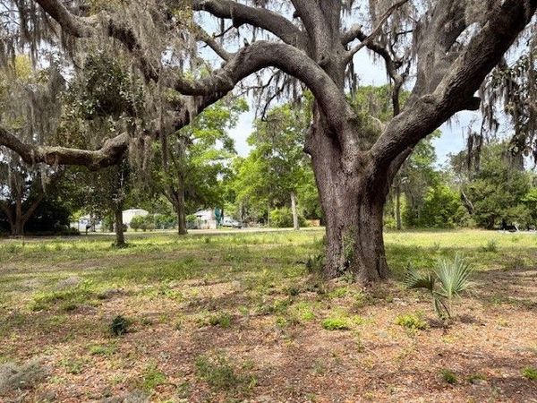 95177 COOK Road, Fernandina Beach, FL 32034