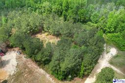 Tbd Zachary Court photo 4