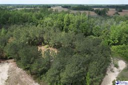 Tbd Zachary Court photo 4