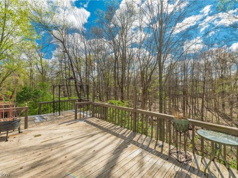 3148 N Park Lane, Medina, OH 44256 Photo 43