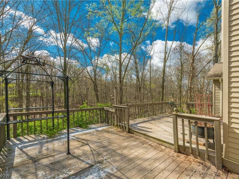 3148 N Park Lane, Medina, OH 44256 Photo 44