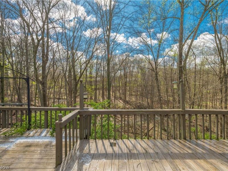 3148 N Park Lane, Medina, OH 44256 Photo 45