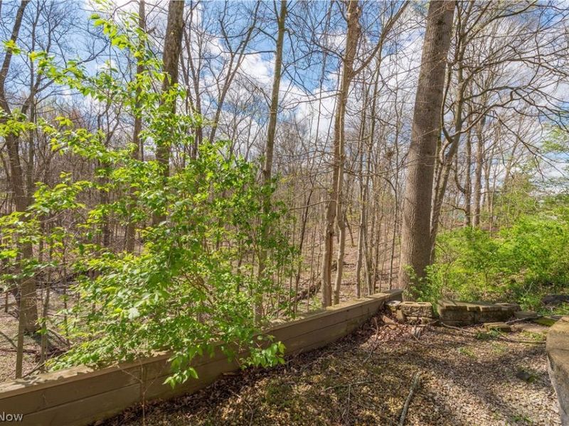 3148 N Park Lane, Medina, OH 44256 Photo 47