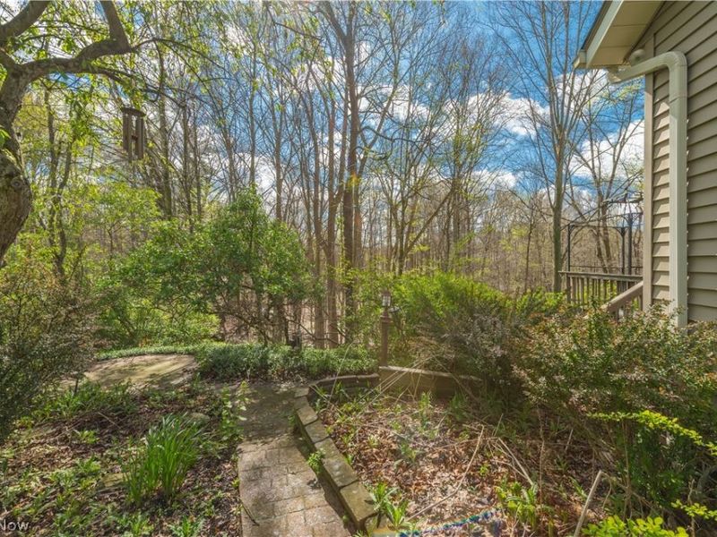 3148 N Park Lane, Medina, OH 44256 Photo 48