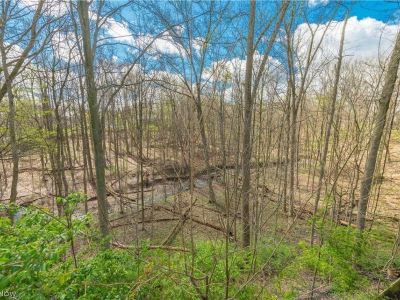 3148 N Park Lane, Medina, OH 44256 Photo 49