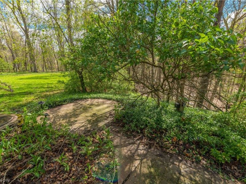 3148 N Park Lane, Medina, OH 44256 Photo 50