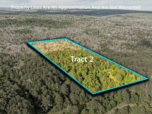 Tract 2 Road 9002, Mentone, AL 35984