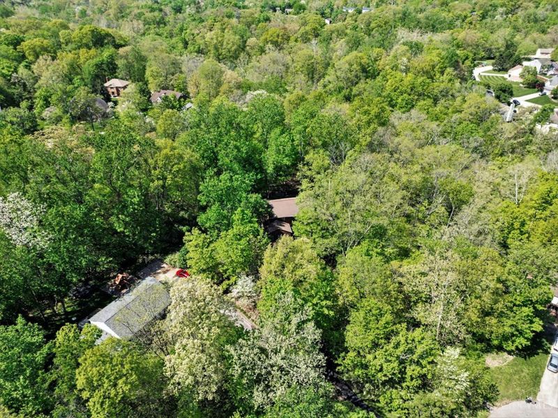 777 Cedar Point Drive, Anderson Twp, OH 45230 Photo 36