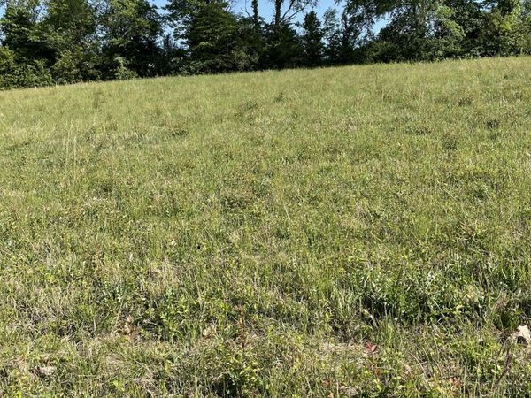 1190 George Byrd Road, Morristown, TN 37813