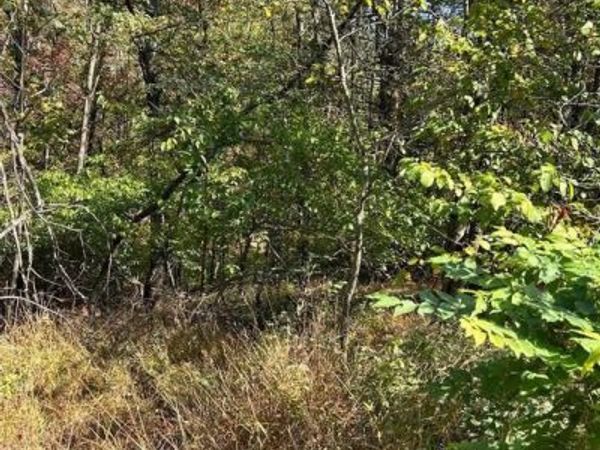 906 WYNONAH DRIVE , AUBURN, PA 17922