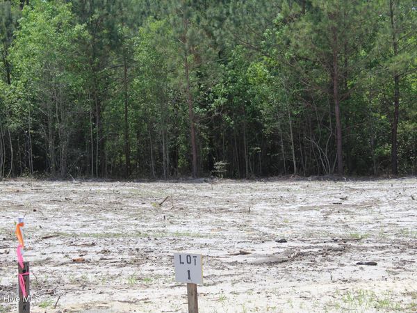 125 H.T.Brown Lane, Magnolia, NC 28453