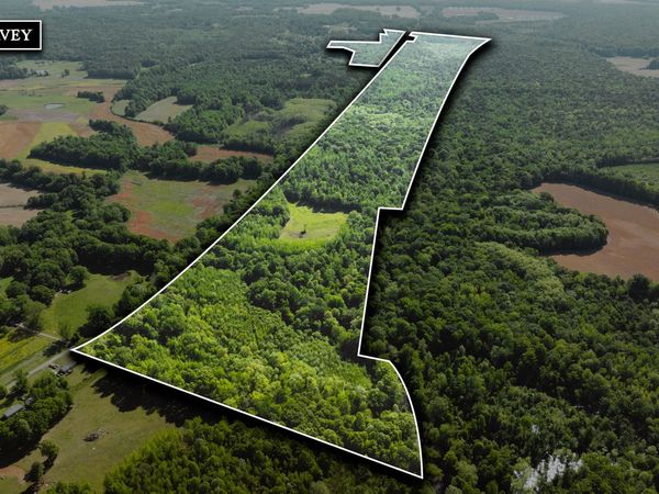 0 Beech Bluff Road , Beech Bluff, TN 38313