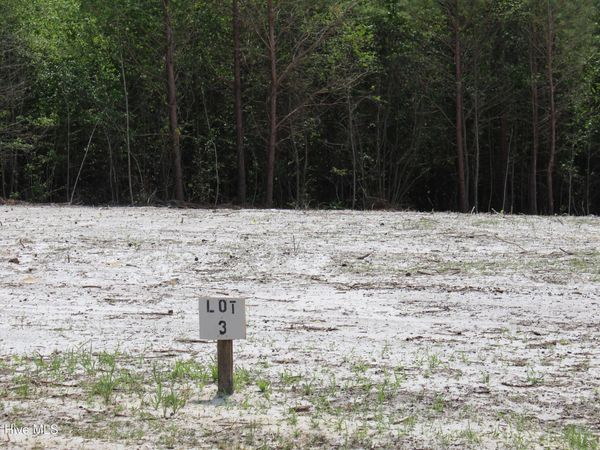 119 H.T. Brown Lane, Magnolia, NC 28453