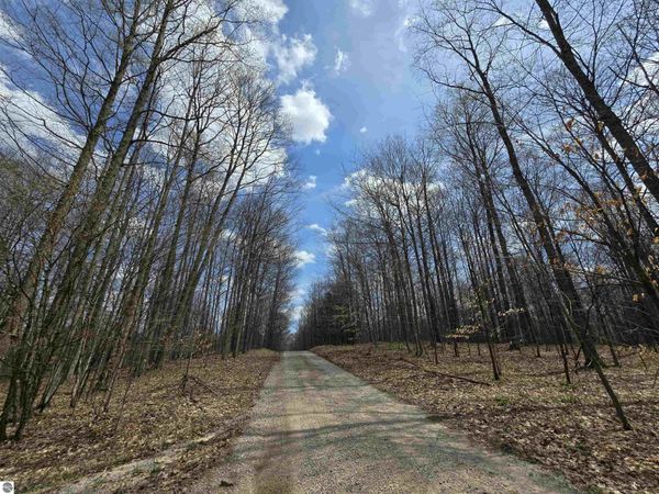 20 Road W, Mesick, MI 49668