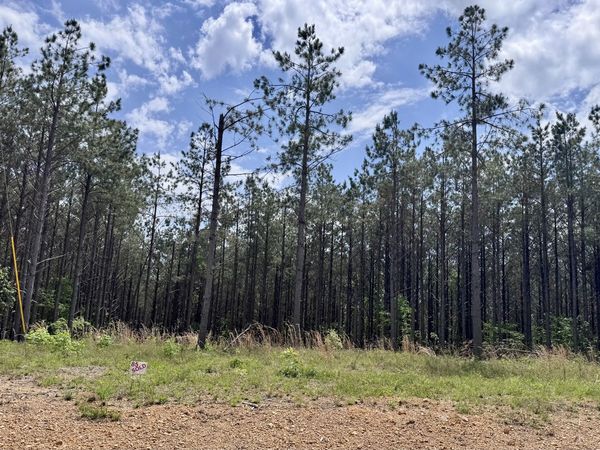 132 Rocky Top Dr, Hohenwald, TN 38462