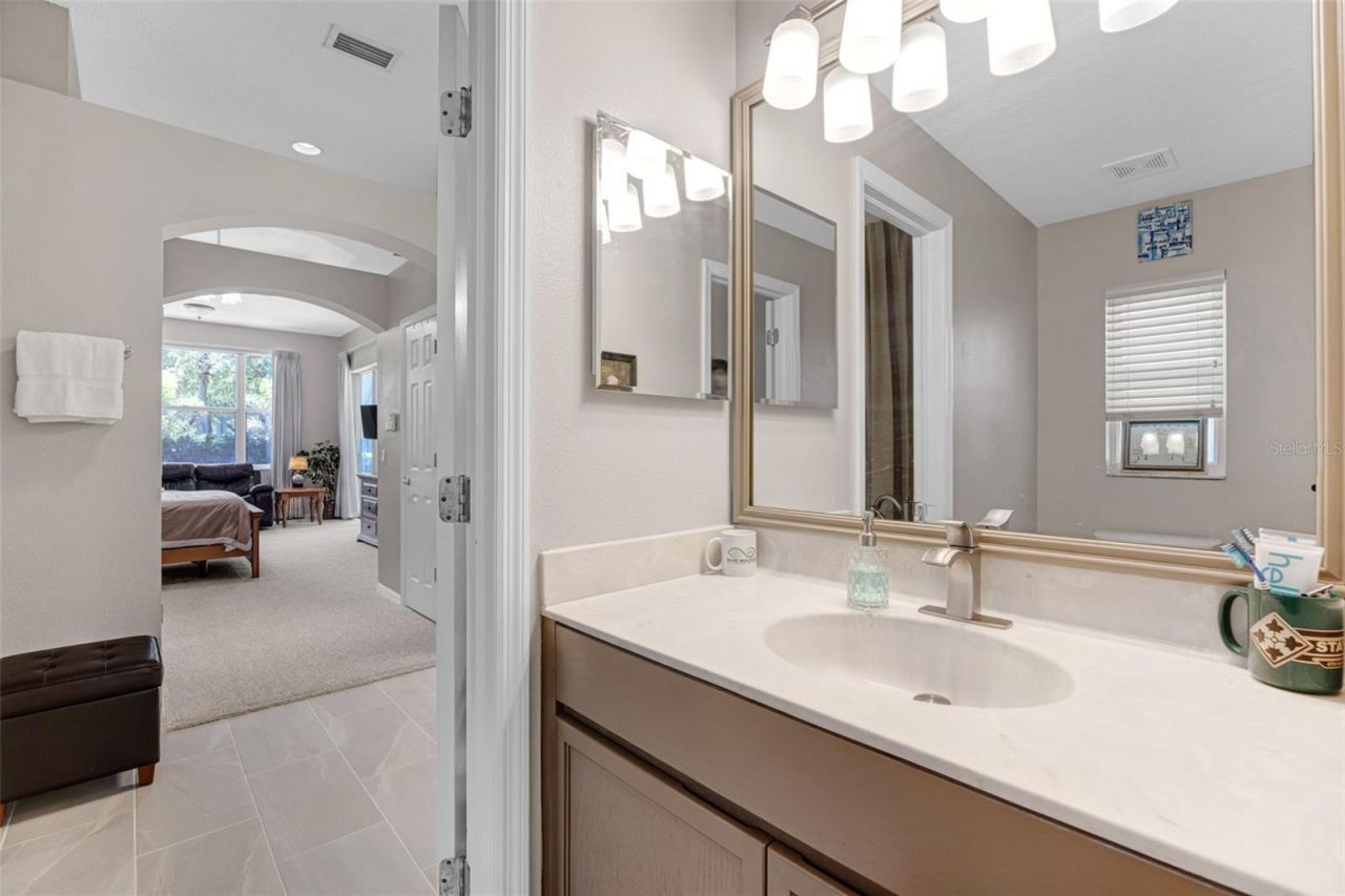 4415 Merrick Run Lane, Valrico, FL 33596 Photo