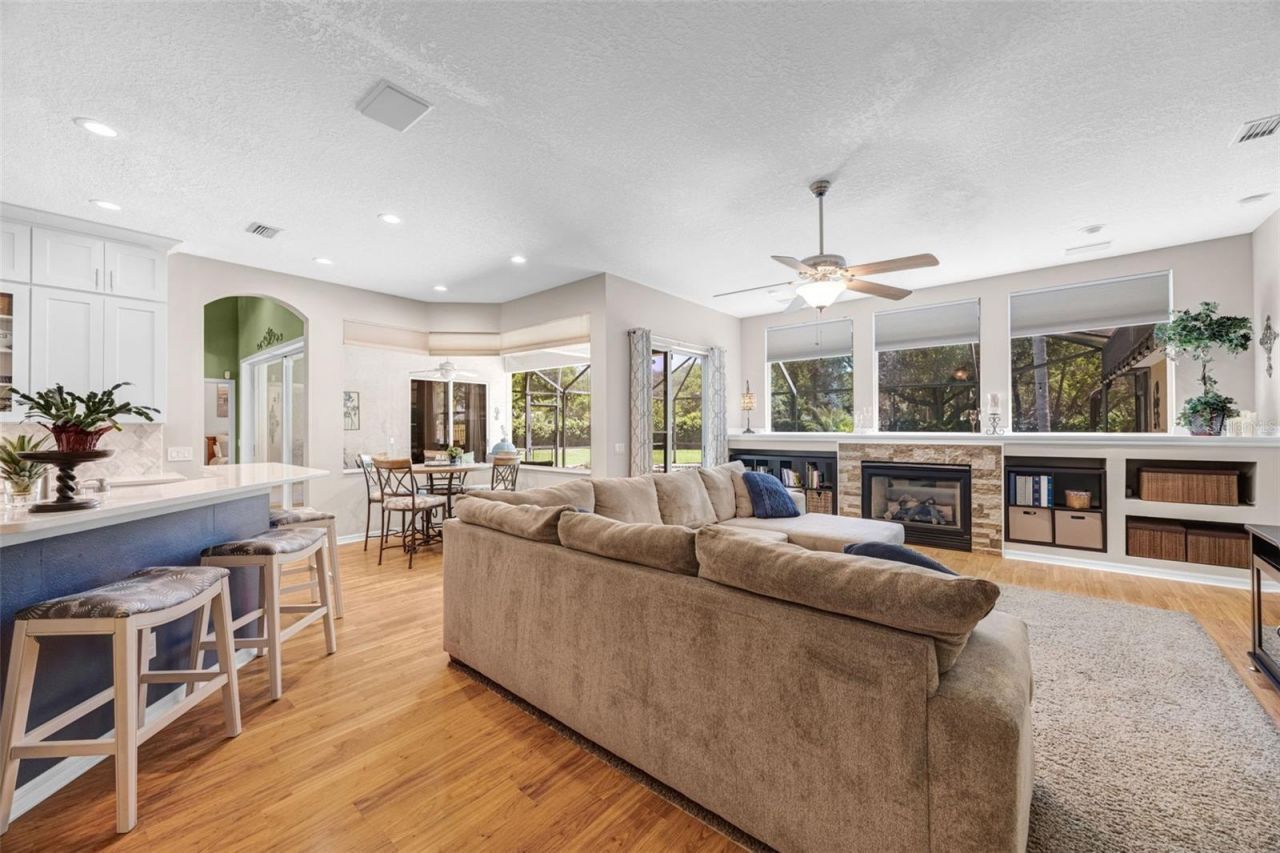 4415 Merrick Run Lane, Valrico, FL 33596 Photo