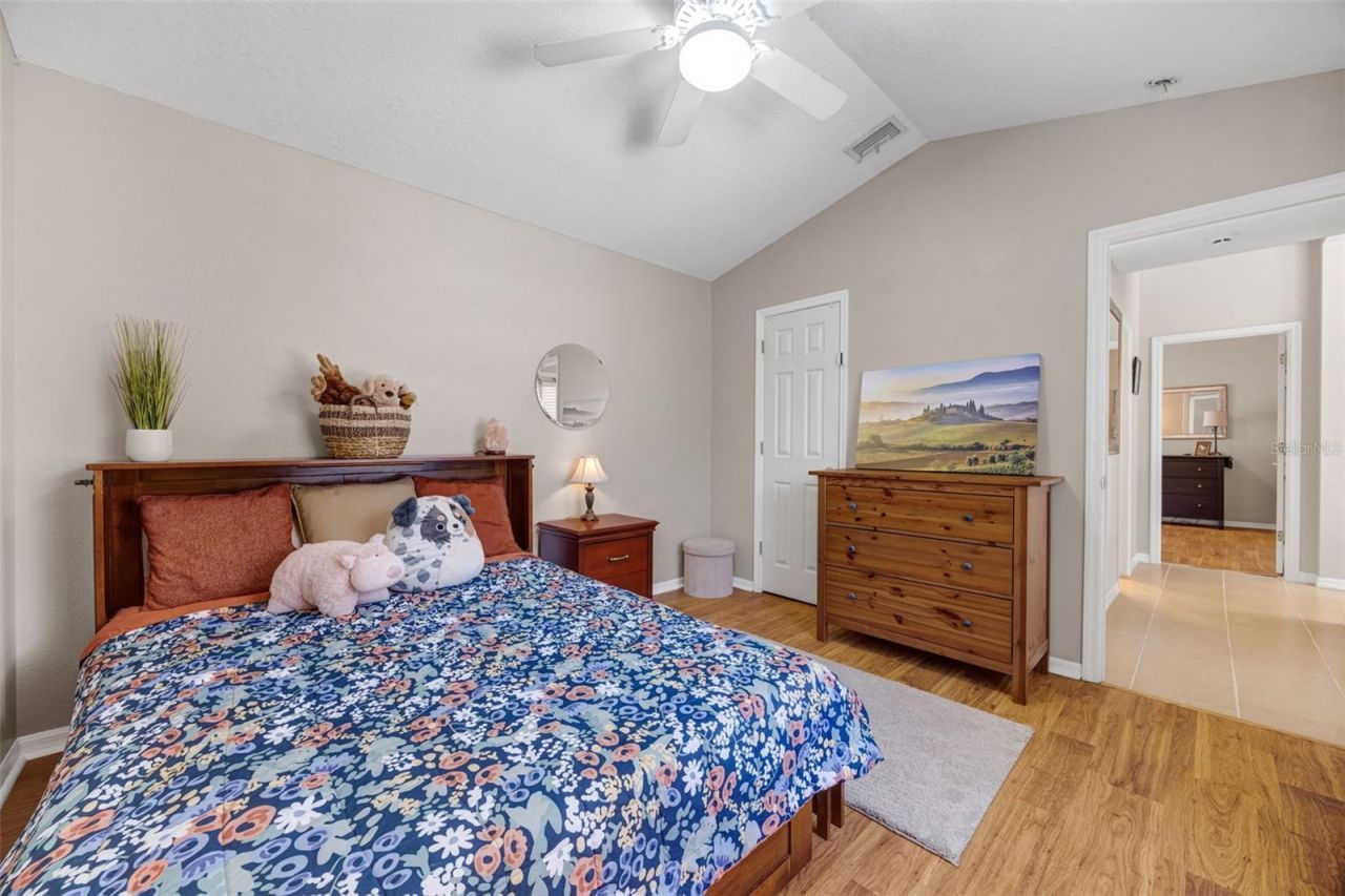 4415 Merrick Run Lane, Valrico, FL 33596 Photo