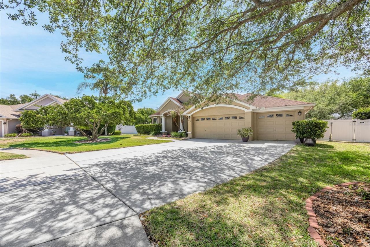 4415 Merrick Run Lane, Valrico, FL 33596 Photo