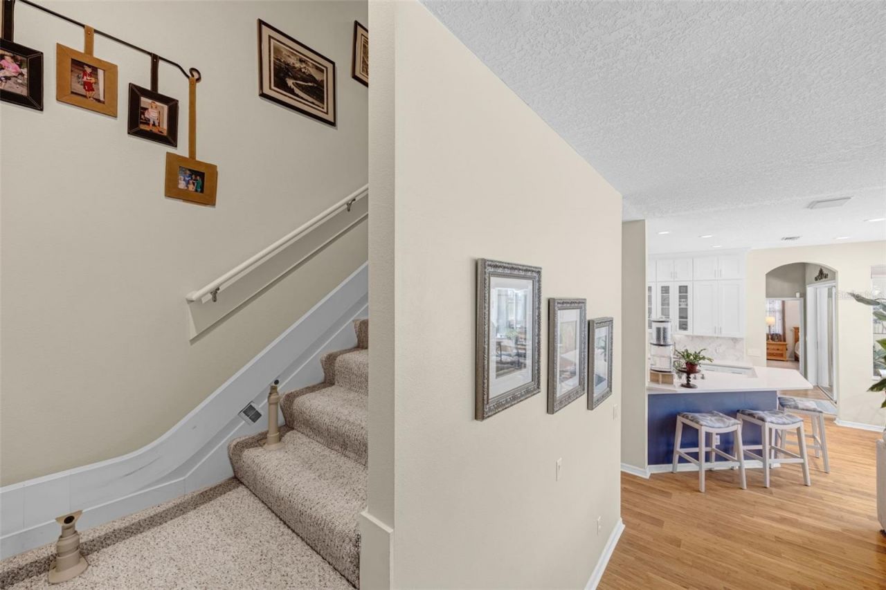 4415 Merrick Run Lane, Valrico, FL 33596 Photo