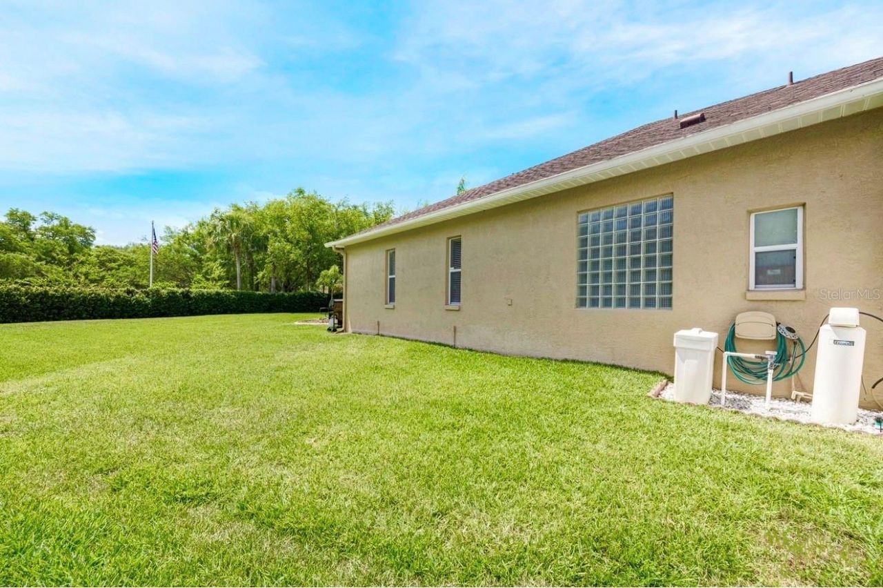 4415 Merrick Run Lane, Valrico, FL 33596 Photo