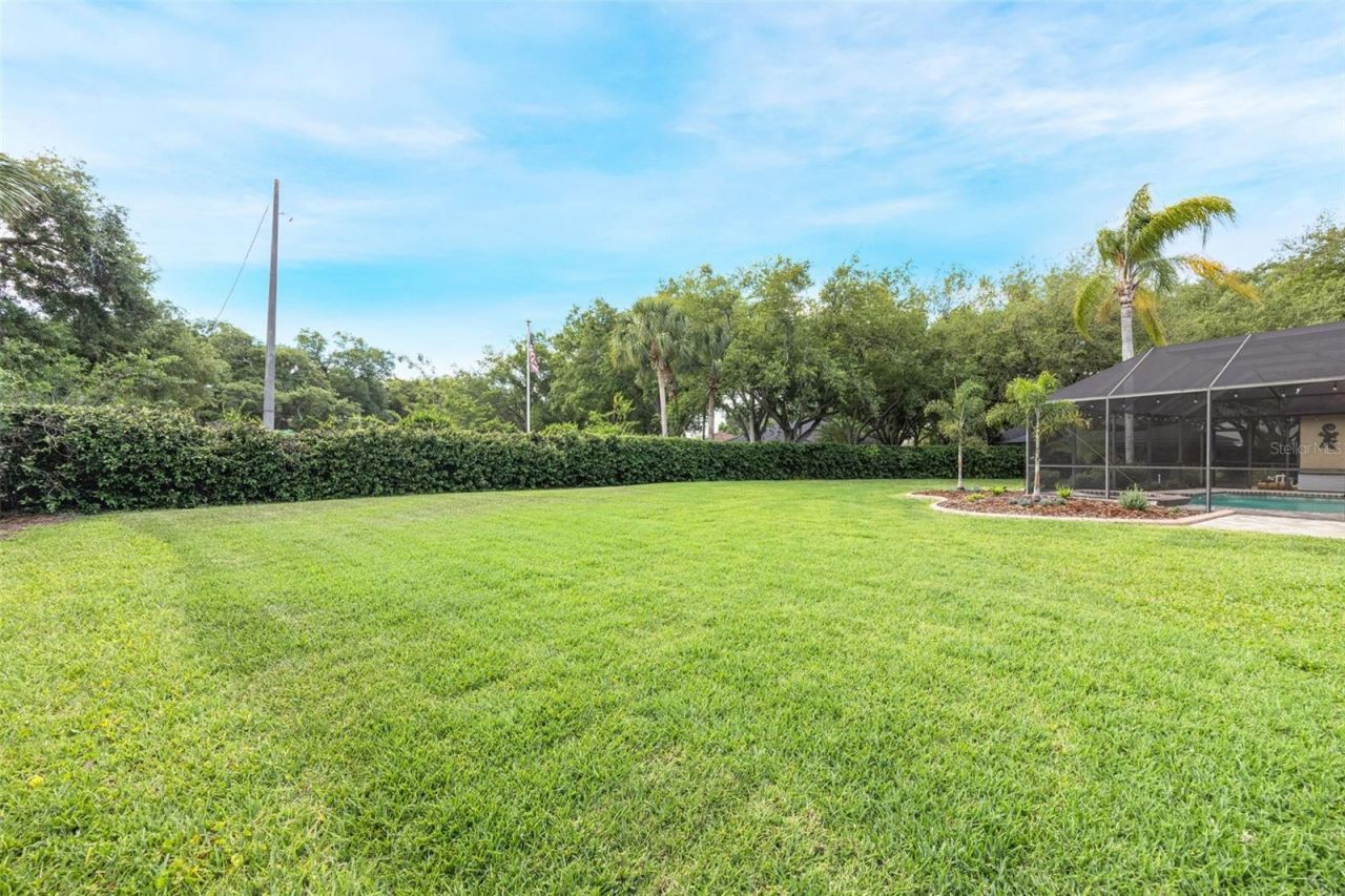 4415 Merrick Run Lane, Valrico, FL 33596 Photo