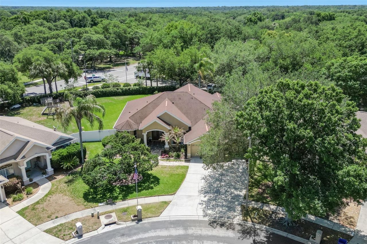 4415 Merrick Run Lane, Valrico, FL 33596 Photo