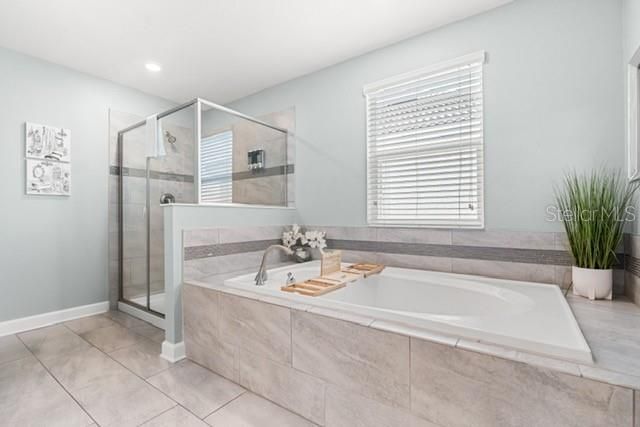 8909 Stinger Drive , Champions Gate, FL 33896 Photo