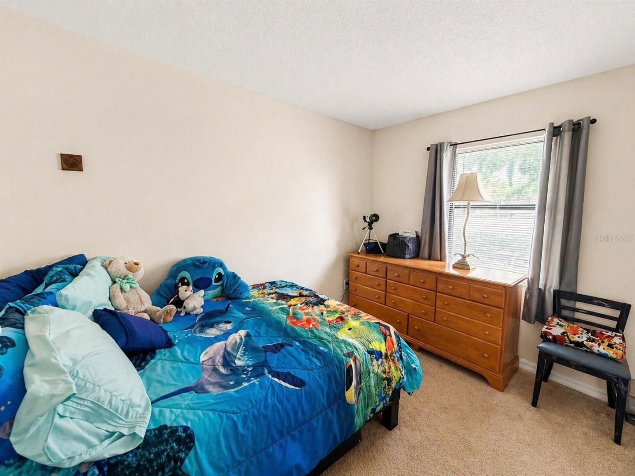 11301 Huggins Street, Leesburg, FL 34788 Photo