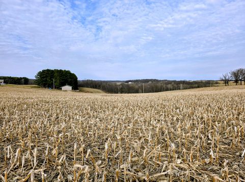 Main Photo