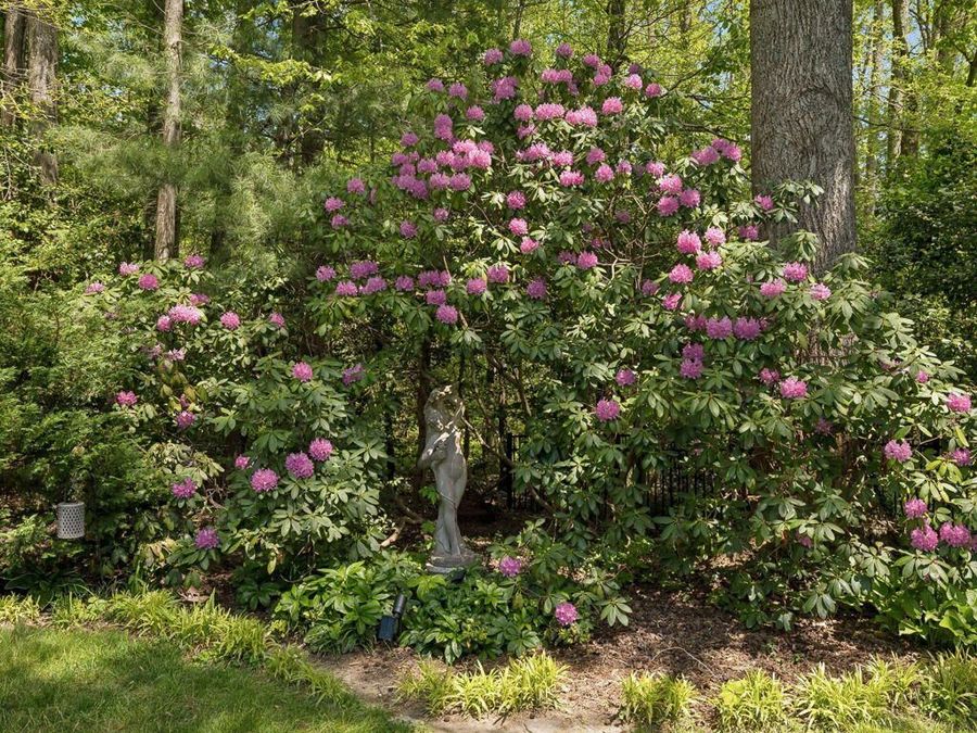 Property Image 55