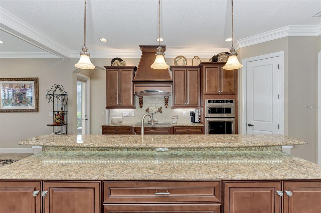 10965 Bullrush Drive, Venice, FL 34293 Photo