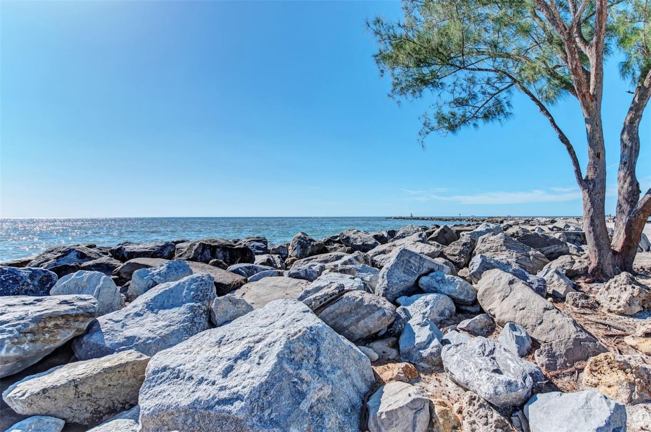 10965 Bullrush Drive, Venice, FL 34293 Photo