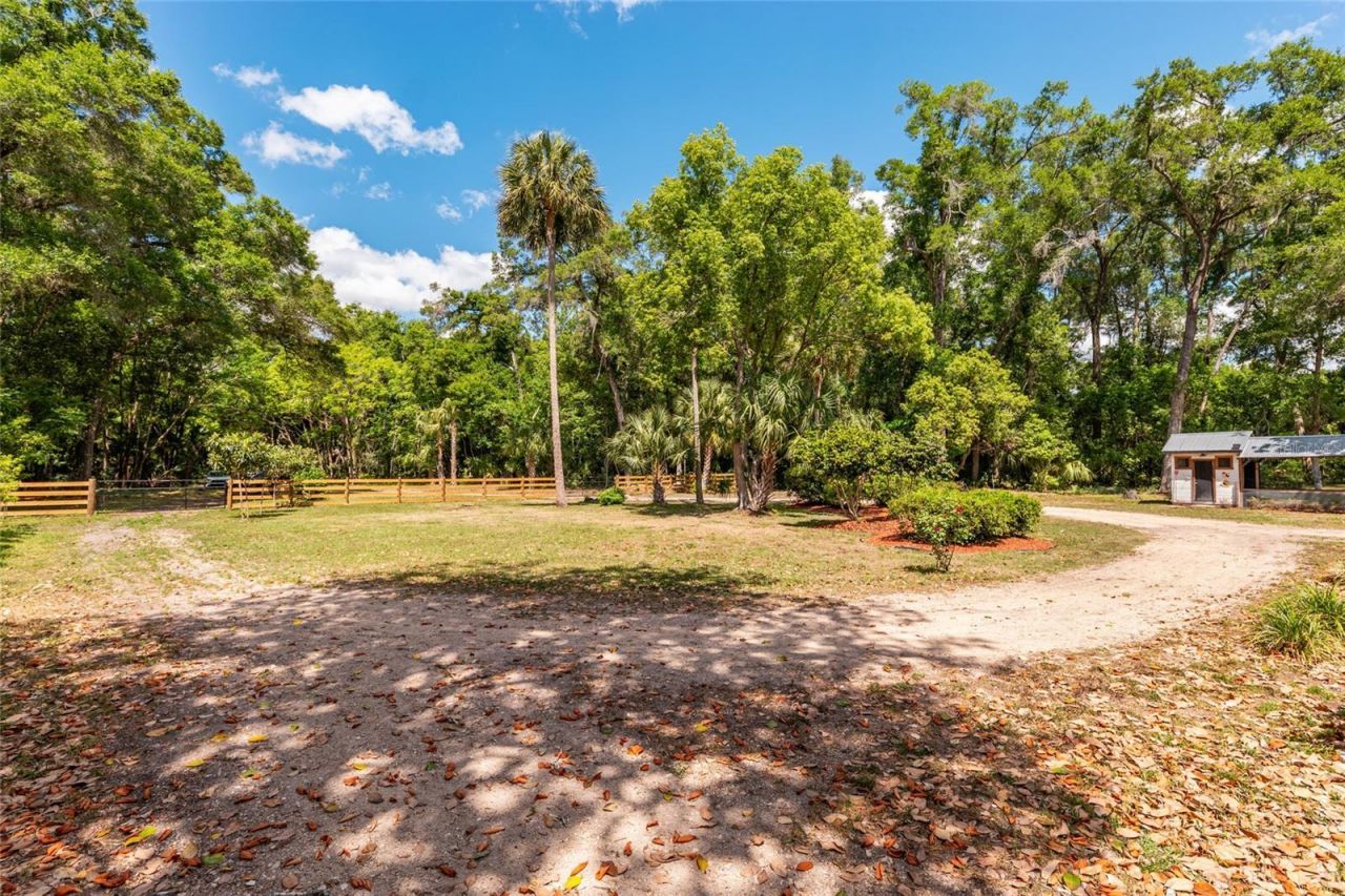 19451 SE 2nd Street, Williston, FL 32696 Photo