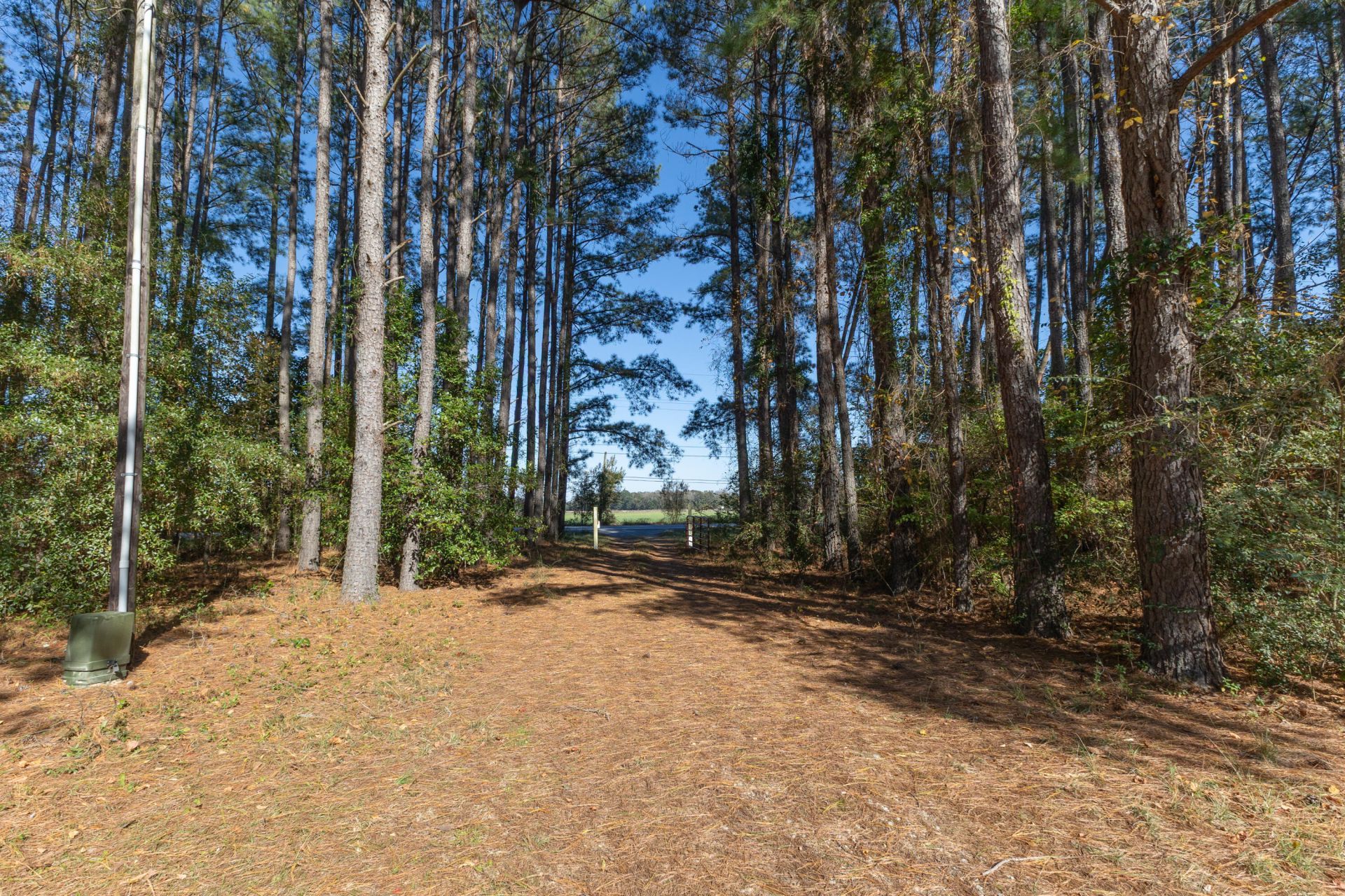 7050 Old State Road Photo 3
