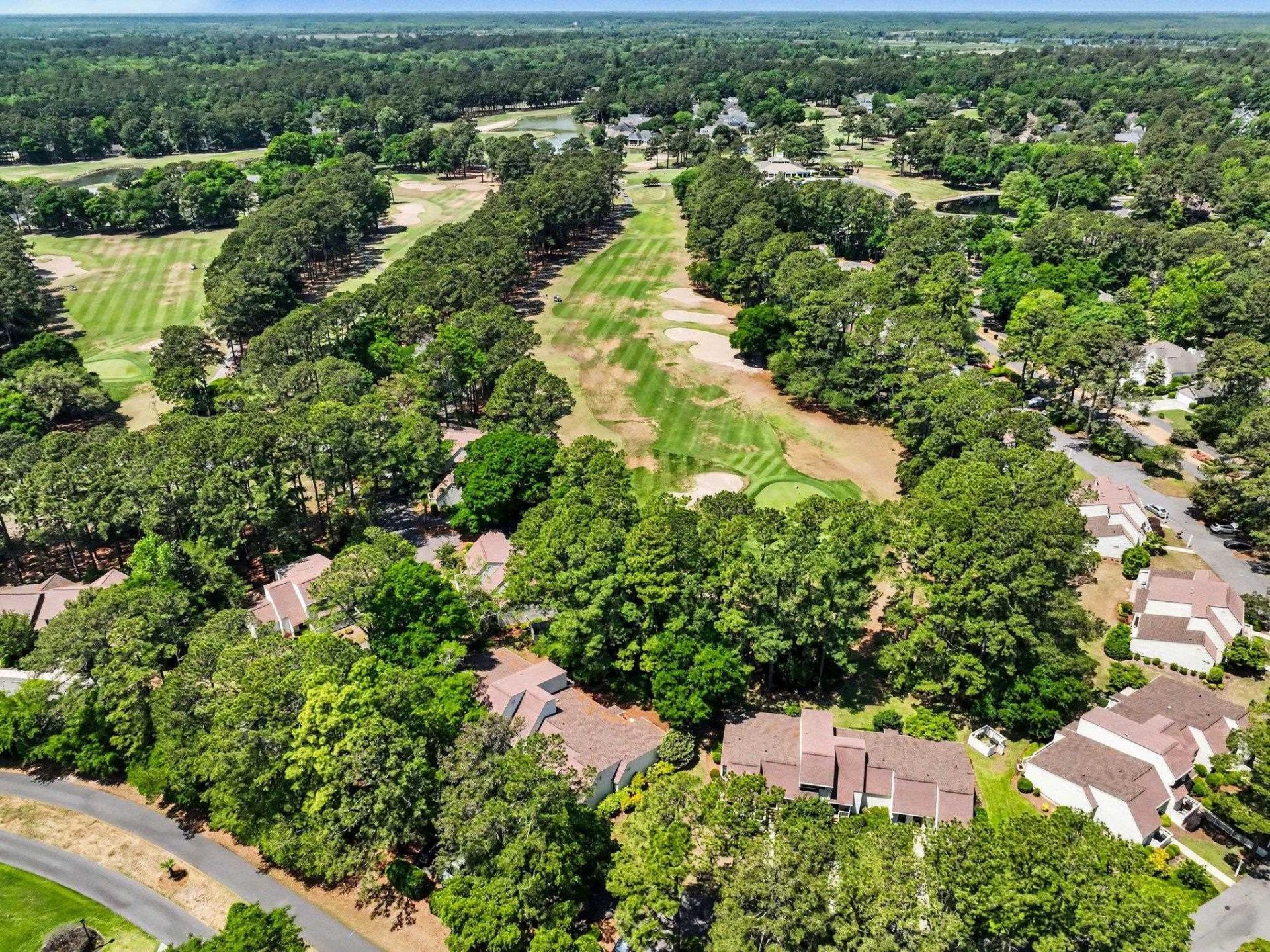 256 Tall Pines Way Photo 29