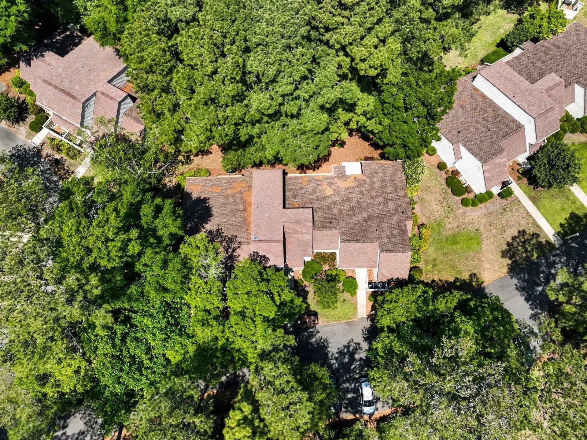 256 Tall Pines Way Photo 30