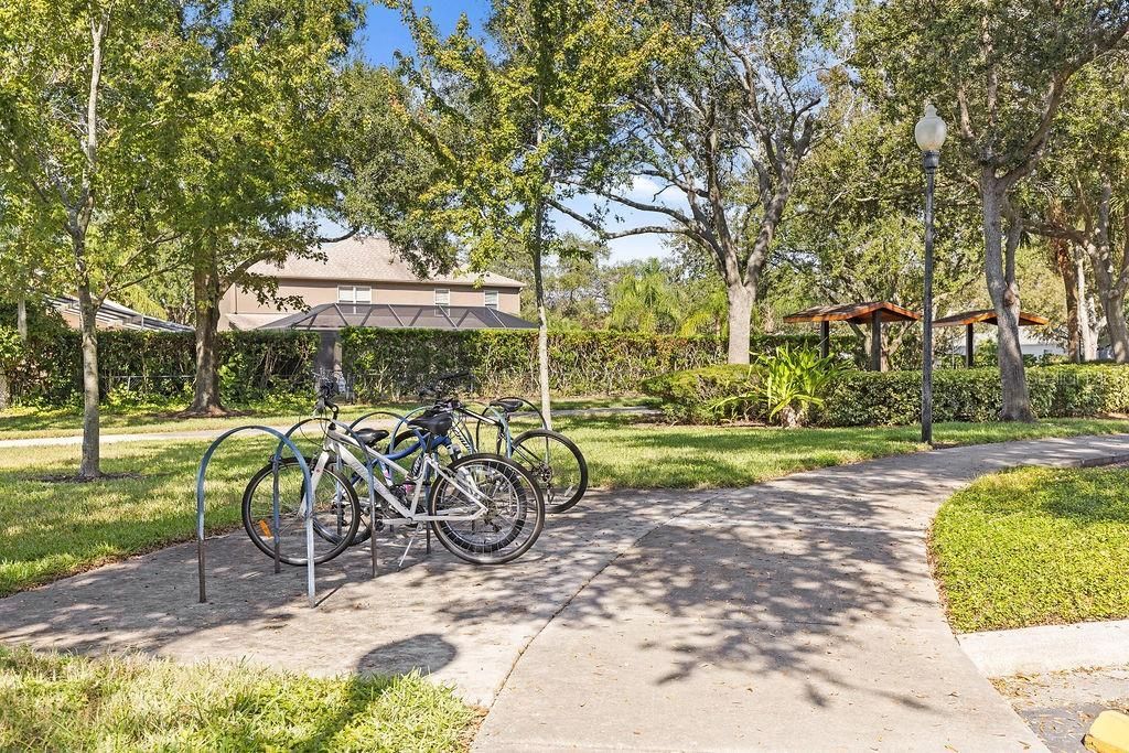 1708 Crossvine Court , Trinity, FL 34655 Photo