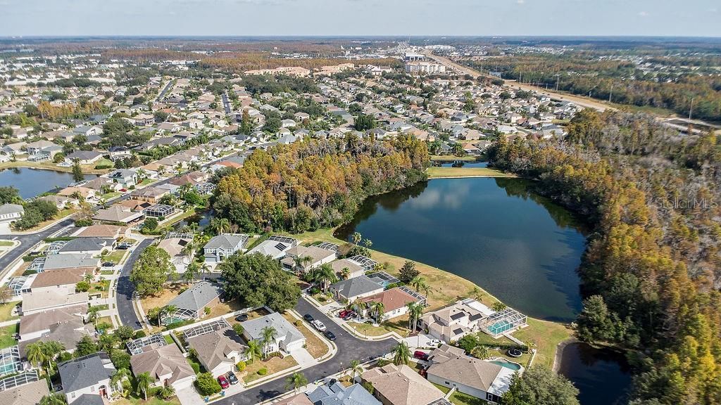 1708 Crossvine Court , Trinity, FL 34655 Photo