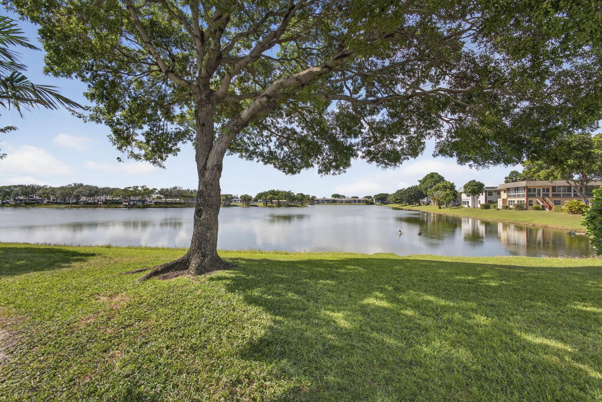 51 Stratford D, West Palm Beach, FL 33417 Photo